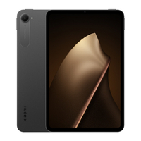 Xiaomi Xiaomi Pad mini 8G+256G Gray VHU6047JP