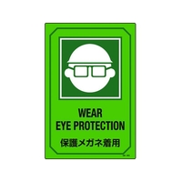日本緑十字社 緑十字/イラスト標識 保護メガネ着用 エンビ FC450GR-8248137