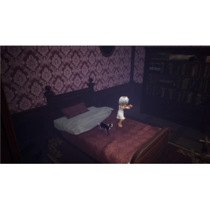 賈船 LIGHT 黒猫と記憶を失った少女【PS5】 ELJM30917-イメージ6