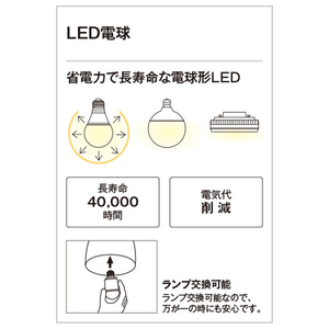 オーデリック LED屋外照明 OG254795LCRﾗﾝﾌﾟﾂｷ-イメージ4