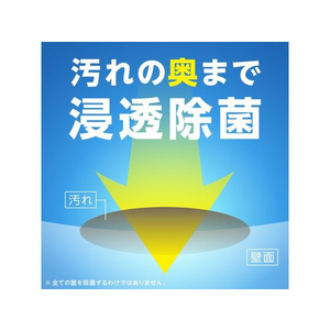 アース製薬 らくハピ お風呂の防カビ剤 無香料 FC30622-イメージ7