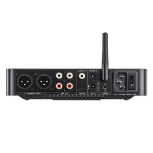 FIIO K13 R2R ブラック FIO-K13R2R-B-イメージ3