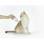 PETKIT _爪切り_LED Pet Nail Clipper Pro PK2302-イメージ8