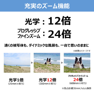 キヤノン コンパクトデジタルカメラ IXY シルバー IXY650MSL-イメージ8