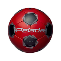 モルテン ペレーダ3000 フットサル 4号球 FCE636S-F9K3000RK