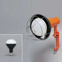アイリスオーヤマ LED投光器 LWT3000CK