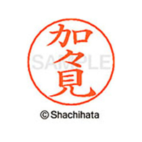 シヤチハタ ネームペン用ネーム シルバー 既製 加々 FC46436-X-GPS-0665