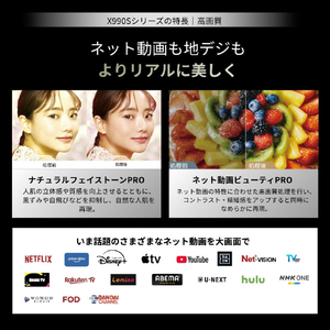TVS REGZA 65V型 有機EL フラッグシップ有機EL REGZA 65X990S-イメージ9