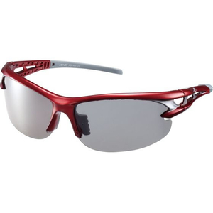 アックス POLARIZED STYLE 偏光サングラス FCD910J-ASP495-RE-イメージ1
