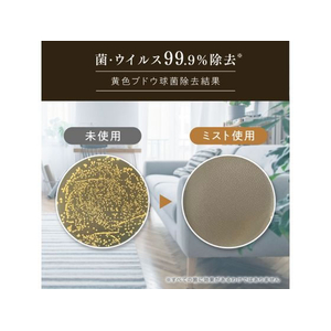 ＮＳファーファジャパン ファーファ FINE FRAGRANCE ミスト ボーテ 300mL FCE004J-イメージ6