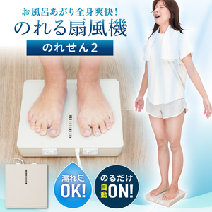 サンコー のれせん2 グレージュ MATFANHWH-イメージ3