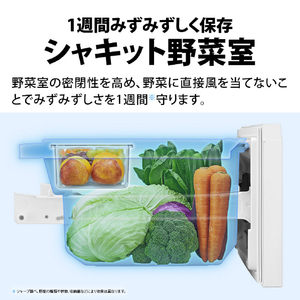 シャープ 【右開き】317L 3ドア冷蔵庫 マットグレー SJ-PT32R-H-イメージ8