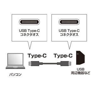 サンワサプライ USB3．1 Type C Gen2 PD対応ケーブル(1m) ブラック KU31-CCP510-イメージ2