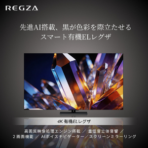 TVS REGZA 48V型4Kチューナー内蔵4K対応有機ELテレビ 48X770S-イメージ2