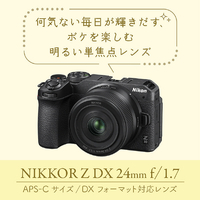 Nikon NIKKOR 24mm 1:2.8 単焦点レンズ