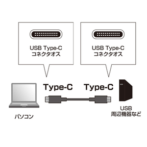 サンワサプライ USB3．1 Type C Gen2 PD対応ケーブル(1m) ブラック KU31-CCP310-イメージ2
