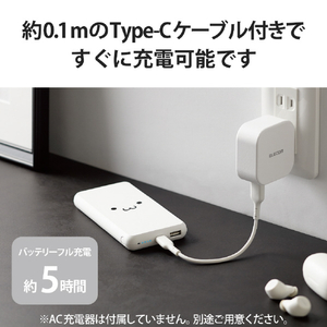 エレコム 5V/3A出力 モバイルバッテリー(10000mAh/15W/C×1+A×1) ホワイトフェイス DE-C38-10000WF-イメージ7