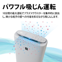 シャープ KI-50SE4-W 加湿空気清浄機 e angle select ホワイト系 シャープ KI-50SE4-W 加湿空気清浄機 e angle select ホワイト系