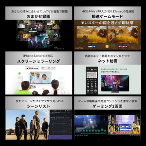 TVS REGZA 85V型 4K Mini LED液晶テレビ REGZA 85Z990S-イメージ13