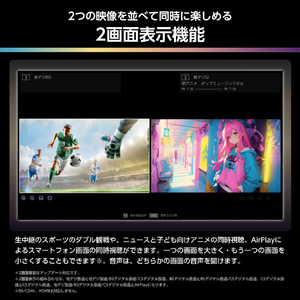 ハイセンス 116V型 4K液晶テレビ U9Rシリーズ 116U9R-イメージ12