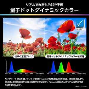 ハイセンス 85V型4Kチューナー内蔵4K対応液晶テレビ U9Rシリーズ 85U9R-イメージ10
