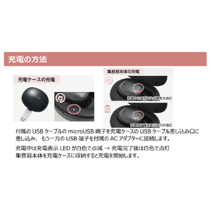 エルパ 充電式イヤリスチャージ 片耳密閉タイプ ブラック AS-E001-イメージ18