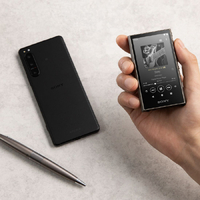【美品】ウォークマンAシリーズ 32GB NW-A306（H） グレー WALKMAN Aシリーズ ソニー NW-A306（H） グレー 32GB
