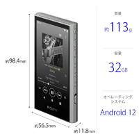 SONY NW-A306 H デジタルオーディオ(32GB) ウォークマン グレー