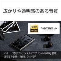SONY NW-A306 H デジタルオーディオ(32GB) ウォークマン グレー