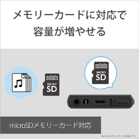 SONY NW-A306 H デジタルオーディオ(32GB) ウォークマン グレー