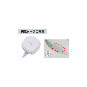 エルパ 充電式イヤリスチャージ 両耳密閉タイプ ホワイト AS-E002-イメージ9
