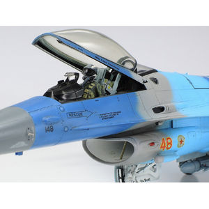 タミヤ 1/48 傑作機シリーズ No．106 F-16C/N “アグレッサー/アドバーサリー” T48F16CNｱｸﾞﾚﾂｻAD-イメージ6