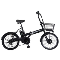 PELTECH 20型電動アシスト自転車外装6段 ALLBLACK TDN-208L-MBK-12AH