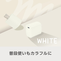 e angle USB充電器 ホワイト ANGL-UCH-25-03-W