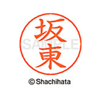 シヤチハタ ネームペン用ネーム シルバー 既製 坂東 FC47434-X-GPS-1663
