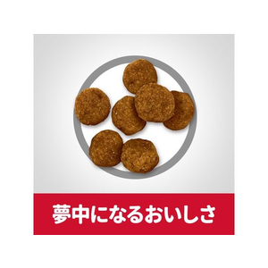 日本ヒルズ・コルゲート サイエンス・ダイエット アダルト 小粒 成犬用 12kg FC399NW-イメージ3