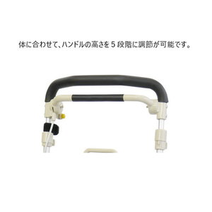 ウィズワン ヘルスバツグMBハナガラコン ﾍﾙｽﾊﾞﾂｸﾞMBﾊﾅｶﾞﾗｺﾝ-イメージ5