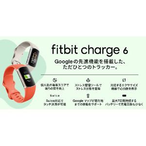 Fitbit Fitbit Charge 6 Charge 6 Coral/ Champagne Gold GA05184-AP-イメージ9