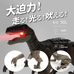 京商 R/C ダイナソーリーダー 蘇る!ヴェロキラプトル ヴェロキラプトル RCﾀﾞｲﾅｿ-ﾘ-ﾀﾞ-ｳﾞｴﾛｷﾗﾌﾟﾄﾙ-イメージ2