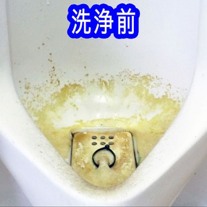 トーヤク 汚0取り 小便器尿石取り 300mL FCE733Z-イメージ5