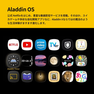 Aladdin X Aladdin X3 AX3P26U04DJ-イメージ5