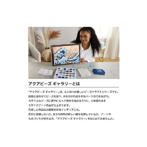 エポック社 アクアビーズ ギャラリー スティッチ AQG-C2 AQGC2ｽﾃｲﾂﾁ-イメージ9