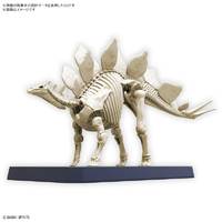 BANDAI - 24個 BANDAI SPIRITS プラノサウルス03 ステゴサウルス プラノサウルス ステゴサウルス｜バンダイ ホビーサイト