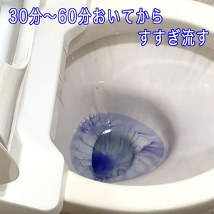 トーヤク 汚0取り トイレ尿石・キバミ 300mL FCE734Z-イメージ6