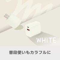 e angle USB充電器 ホワイト ANGL-UCH-25-04-W