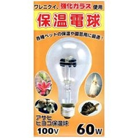 キョッコウデンキ ヒヨコ保温球 E26口金 1個入り 60W ﾋﾖｺﾎｵﾝｷﾕｳ 100V 60W