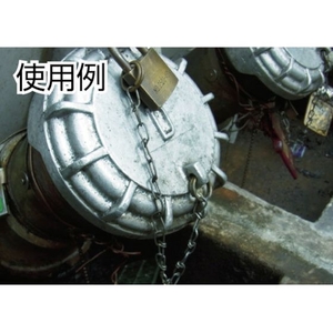 ニッサチェイン 真鍮キリンスビクターチェイン 2.6mm×30m FC142EH-BV26-イメージ2