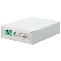 スマートバリュー カラーペーパー特厚口A4 浅黄 500枚 FC797RJ-A280J-4