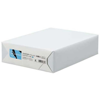 スマートバリュー カラーペーパー特厚口A4 空 500枚 FC798RJ-A280J-5