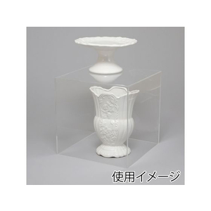 ヘイコー アクリルサイコロ 5面体 250角 1個 FC169SB-007307910-イメージ2